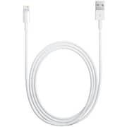 Apple MD818ZM/A Lightning To USB Cable 1M