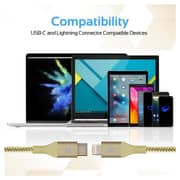 Promate Type-C To Lightning Cable 2m Gold