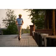 Ninebot F30E Kick Scooter Ninebot F30E Kick Scooter