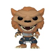 Funko : Teenage Mutant Ninja Turtles 2 - Rahzar (1137) Funko : Teenage Mutant Ninja Turtles 2 - Rahzar (1137)