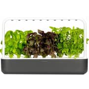Click and Grow Smart Garden 9 Dark Grey