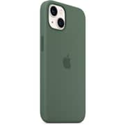 Apple Silicone Case with MagSafe Eucalyptus iPhone 13 Apple Silicone Case with MagSafe Eucalyptus iPhone 13