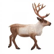 Animal Planet - Mojo Reindeer