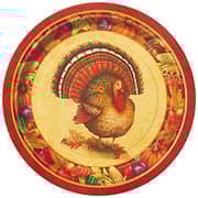 Unique Festive Turkey Thanksgiving Dessert Plates, 8Ct