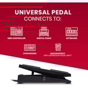 Akai Professional Expression Pedal Lightweight, Robust, Non Slip Pedal For Midi Keyboard Controllers, Guitar Supported Effects, With 1.8m Cable