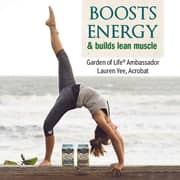 Garden Of Life Raw Organic Meal Shake & Meal Replacement Lightly Sweet 519g Garden Of Life Raw Organic Meal Shake & Meal Replacement Lightly Sweet 519g