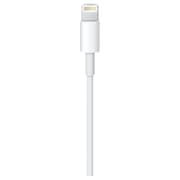 Apple Lightning To USB Cable 2m - White