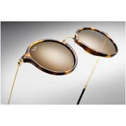RayBan RB2447-1160-49 Havana/Brown Acetate Men Sunglasses