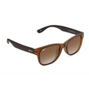 Nova NV2113CA005 Nile Gradient Brown Sunglasses For Unisex
