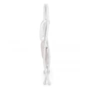 CAM Baby Bagno Kit (Bathtub + Stand)