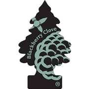 Little Trees BlackBerry Clove Car Air Freshner