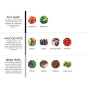 Hydur Herbs & Spices Diffuser Scent Oil 10ml Hydur Herbs & Spices Diffuser Scent Oil 10ml