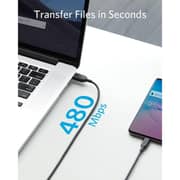 Anker PowerLine III USB Type-C Cable 1.8m Black