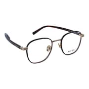 Bolon Aviator Brown Frames Men BJ6027-B20-50