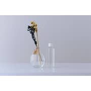 Pan Emirates Black Forest Reed Diffuser W/refill Oil 100ml