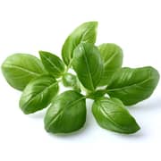 Click and Grow Basil Plant Pods
