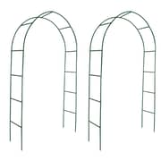 Vidaxl Garden Arch 2 Pcs Climbing Plants Vidaxl Garden Arch 2 Pcs Climbing Plants