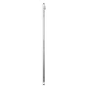 iPad Pro 11-inch (2018) WiFi+Cellular 1TB Silver