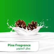 Dettol Skincare Anti-Bacterial Liquid Hand Wash 200ml 2+1 Free