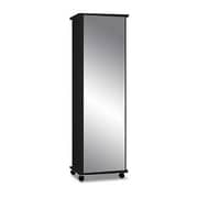Mirrored Shoe Cabinet (Black) Mirrored Shoe Cabinet (Black)