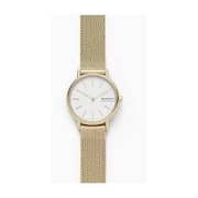 Skagen Signatur Gold Mesh Women Watch SKW2693