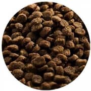 Happy Cat Junior 300Gm X 6 Pouches Dry Croquettes Kitten Food Chicken Salmon