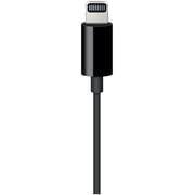 Apple Lightning to 3.5mm Audio Cable 1.2m Black Apple Lightning to 3.5mm Audio Cable 1.2m Black