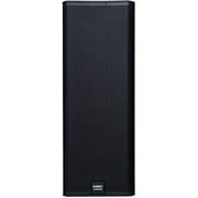 QSC E215 Dual 15-Inch Two-Way Passive Loudspeaker