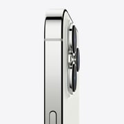 iPhone 13 Pro 512GB Silver (FaceTime - Japan Specs)