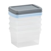 Storage Box & Lid Set Of 4 Clear/Assorted