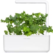 Click and Grow Green Kale 3 Pack Click and Grow Green Kale 3 Pack