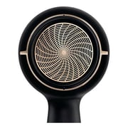 Philips HPS920 Hair Dryer + HP8321 Hair Straightner Philips HPS920 Hair Dryer + HP8321 Hair Straightner