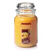 Yankee Candle Large Jar Candle Mango Peach Salsa Yankee Candle Large Jar Candle Mango Peach Salsa