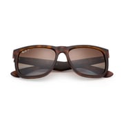 RayBan RB4165-865/T5-55 Brown/Tortoise Nylon Polarized Men Sunglasses RayBan RB4165-865/T5-55 Brown/Tortoise Nylon Polarized Men Sunglasses