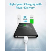 Anker USB Type C To Lightning Cable 0.9m White