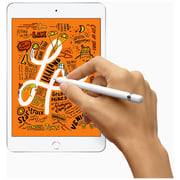 iPad mini (2019) WiFi 64GB 7.9inch Space Grey iPad mini (2019) WiFi 64GB 7.9inch Space Grey