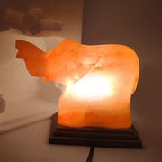 Himalayan Salt Animal Salt Lamp- Elephant Himalayan Salt Animal Salt Lamp- Elephant