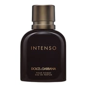 Dolce & Gabbana Intenso EDP 40ml Men Dolce & Gabbana Intenso EDP 40ml Men