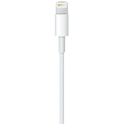 Apple MD818ZM/A Lightning To USB Cable Apple MD818ZM/A Lightning To USB Cable