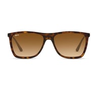 NOVA Victor Gradient Brown Sunglasses For Men NV2115F01 NOVA Victor Gradient Brown Sunglasses For Men NV2115F01
