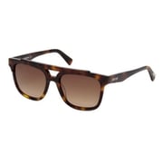 Just Cavalli Dark Havana / Gradient Roviex Plastic Women's Sunglasses Just Cavalli Dark Havana / Gradient Roviex Plastic Women's Sunglasses