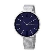 Skagen Karolina Silver Mesh Women Watch SKW2725 Skagen Karolina Silver Mesh Women Watch SKW2725