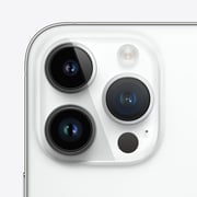 Apple iPhone 14 Pro Max 256GB Silver - International Version (Physical Dual Sim)