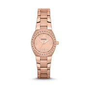 Am4508 fossil new arrivals