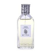 Etro Profumi Ambra Perfume For Men 100ml EDT