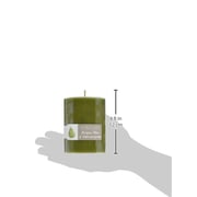 Northern Lights Candles Anjou Pear & Lemongrass Fragrance Palette Pillar Candle, 3 X 4 Northern Lights Candles Anjou Pear & Lemongrass Fragrance Palette Pillar Candle, 3 X 4