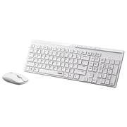 Rapoo Wireless Desktop Keyboard & Mouse White X8100 Rapoo Wireless Desktop Keyboard & Mouse White X8100
