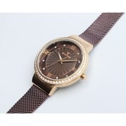 Spectrum Explorer Mesh Band WOMEN's Brown Watch - S25177L-3 Spectrum Explorer Mesh Band WOMEN's Brown Watch - S25177L-3