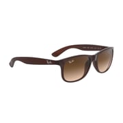 RayBan RB4202-607313-55 Brown Nylon Unisex Sunglasses RayBan RB4202-607313-55 Brown Nylon Unisex Sunglasses