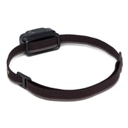 Black Diamond Spot Lite 200 Headlamp, Graphite Black Diamond Spot Lite 200 Headlamp, Graphite
